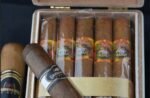Box of 25 Cherry-Mango Flavor Cigars - Image 3